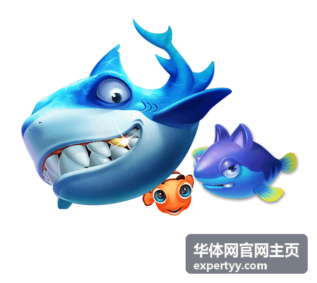 华体网官网主页体育数据与赛况解读频道背景图